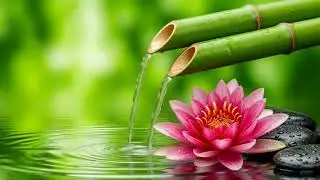 Relaxing Zen Piano Music &ndash; Beautiful Harmonies for Anxiety Relief, Serenity and Deep Sleep