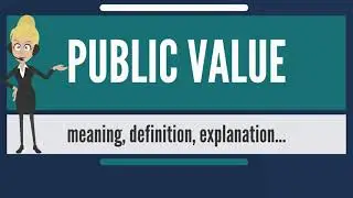 What is PUBLIC VALUE  What does PUBLIC VALUE mean  PUBLIC VALUE meaning, definition & explanation