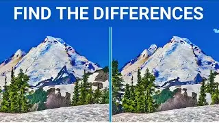 Find the difference Brain Break games for kids