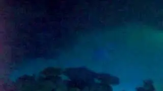 Broken Fin