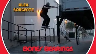 Alex Sorgente