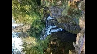 Greatgrandmama  Fortingall Yew, Meikleour hedge, Killin falls of Dochart
