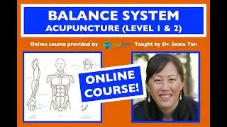 Balance System Acupuncture Online Course Level 1 and 2