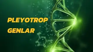 PLEYOTROPIYA || ПЛЁТРОПИЯ