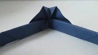balancing bird