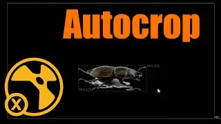 Nuke tutorial: autocrop. Autoset bbox
