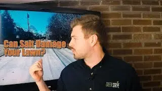 GreenStripe: What are those brown spots in my lawn? Salt Damage