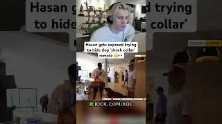 xQc reacts to Hasan EXPOSED For HIDING Dog 'SHOCK Collar' 😬 #xqc #hasan #dogs