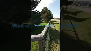 Post failure replacement #shorts #fence #post #satisfyingvideo #jobwelldone