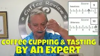 Learn Coffee Cupping and Coffee Tasting Like a Professional