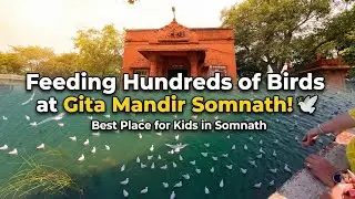 Feeding Hundreds of Birds at Gita Mandir Somnath! 🕊️ | Best Place for Kids in Somnath