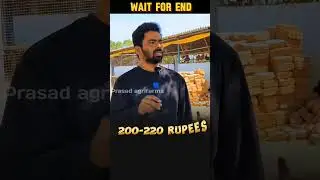 naatukolla business #naatukolla #dairyfarm #telugu #shorts #trending #short #naatukollabusiness
