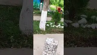 Samarqand. URGUT CHASHMA DAM OLISH MASKANI 909541227
