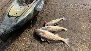 How to catch a limit of deep water winter redfish!