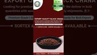 🌍 Export Quality Black Chana | EX-MILL Rate ₹58/- | Premium Pulses for Global Trade ✨