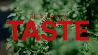 Shot on Nikon Z6 III &ndash; Cinematic Fine Dining Short Film