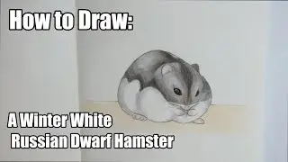 How to draw a Winter White Russian Dwarf HAMSTER | Drawing Tutorial