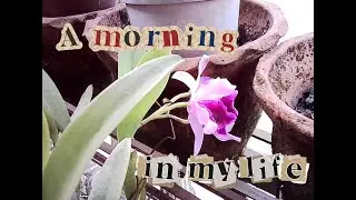 a morning in my life // through the lens of a kodak charmera