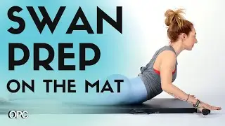 Swan Prep on the Mat | Online Pilates Classes