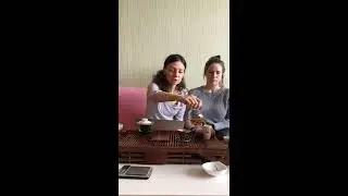 Tea Masters Cup Russia: критерии оценки, подготовка и круг ароматов чая.