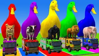 Long Slide Game With Cow Elephant Gorilla Hippopotamus Tiger 3d Animal Game Funny 3d Animals