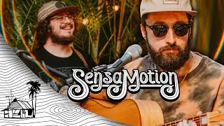 SensaMotion -  All That I Want Of (Live Music) | Sugarshack Sessions