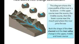 Year 10 Long and Cross profile