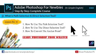 How To Use Path Selection and Direct Selection Tool in Photoshop | Photoshop For Newbies Lesson No14