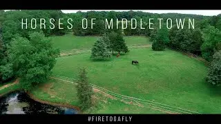 Horses Of Middletown | Fire Toga Films | Drone Footage