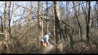 On A Mission, Felling Trees and Gathering Logs