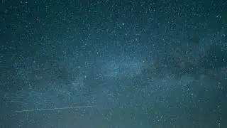 WANT YOUR BODY - TIMOTHY BULLOCK (Ai Generated)
