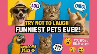 You Laugh You Lose ~ Funny Animals 2024 😂 ~ Funniest Pet Fails 🤣 #cat #animals #funny