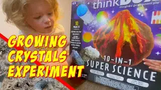 Growing Crystals Experiment on Lava Rocks - Kid's Science - Think Box