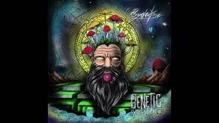 Psydewise - Marble Theory
