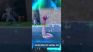 SHINY EVOLUTION: Dratini to Dragonite Pok&eacute;mon Scarlet Violet