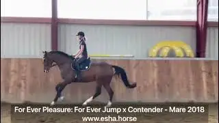 For Ever Pleasure: FOR EVER JUMP x CONTENDER