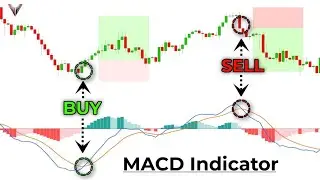 MACD Indicator Strategy | 90% Accurate Trading Setup