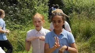 Brinsworth Whitehill Primary School - LipDub 2019