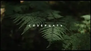 Siberian glamp resort // Cinematic commercial// GH5 // 4K
