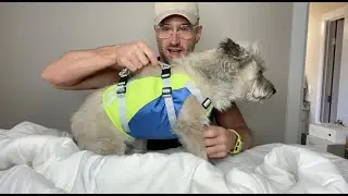 Dog Life Jacket AMAZON REVIEW