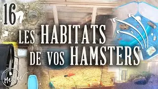 On commente vos HABITATS pour HAMSTERS + PARCS - 16