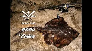 Black Tide: Targeting Undulate Rays  - Century Sea Fishing (Short Video)