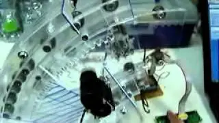 slide-c.wmv