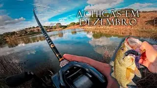 achigãs em dezembro 🥶 (pesca aos achigãs no inverno)