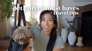 new pet owners guide: everything you need + tips on traveling with your pup 🐕&zwj;🦺🐾🦴