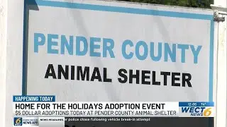 Pender Co. Animal Shelter offering $5 holiday adoption special
