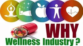 Wellness Industry || A Trillion Dollar Industry by Paul Zane Pilzer || For Association ☎️ 9650387024