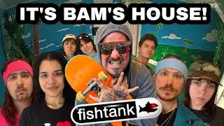 The Return Of Fishtank Live (Season Five Recap)