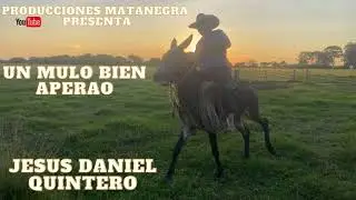 UN MULO BIEN APERAO- Jesús Daniel Quintero- El Tigrito de Matanegra