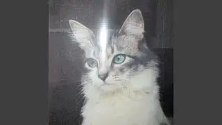 Observatorios